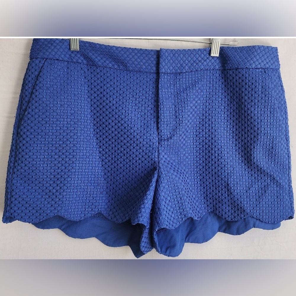 Blue Eyelet Women's Shorts